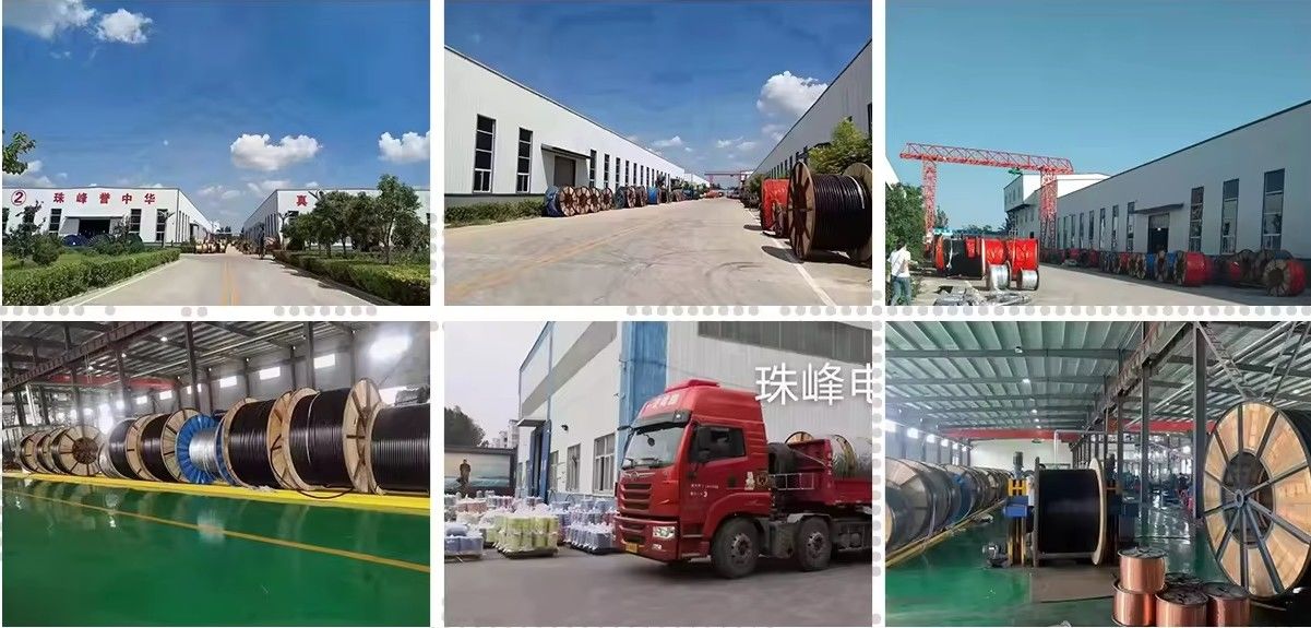 Zhufeng Cable Daming Co., Ltd. 製造者の生産ライン